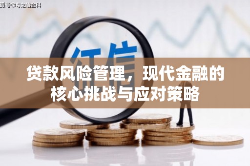 呼玛贷款风险管理，现代金融的核心挑战与应对策略