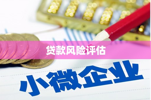 芬园贷款风险评估