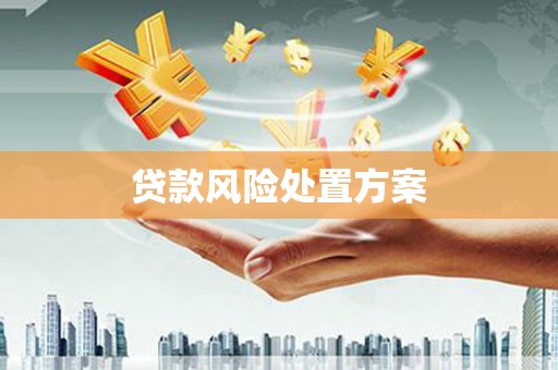 郑州贷款风险处置方案
