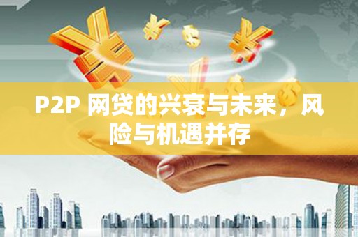 大安P2P 网贷的兴衰与未来，风险与机遇并存