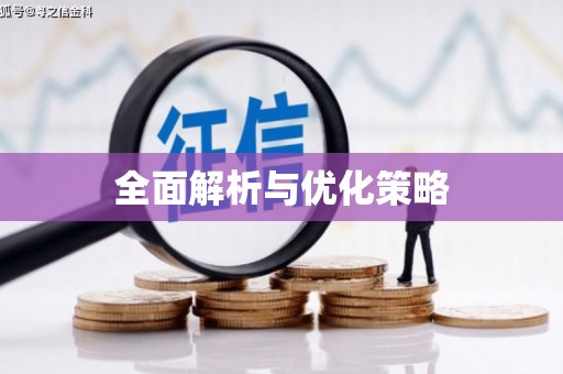 丰满全面解析与优化策略