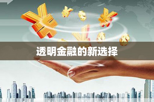 龙凤透明金融的新选择