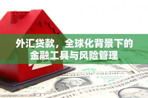 林甸外汇贷款，全球化背景下的金融工具与风险管理