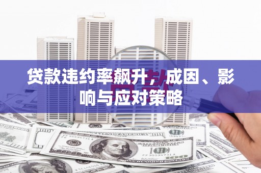 赫山贷款违约率飙升，成因、影响与应对策略